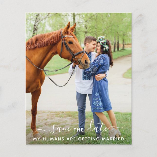 Modern Pet Photo Horse Wedding Save The Date (Front)
