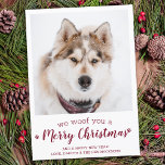 Modern Pet Photo Merry Christmas From The Dog Holiday Card<br><div class="desc">We Woof You A Merry Christmas! Send cute and fun holiday greetings with this super cute personalised custom pet photo holiday card. Merry Christmas wishes from the dog with cute paw prints in a fun modern photo design. Add your dog's photo or family photo with the dog, and personalise with...</div>