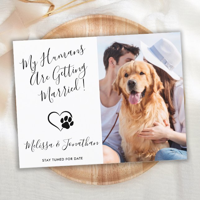 Modern Pet Photo Simple Dog Wedding Engagement  Announcement Postcard (Creator Uploaded)