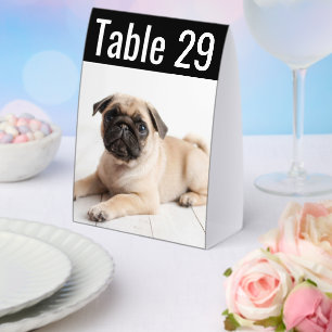 Modern Pet Photo Wedding Table Number