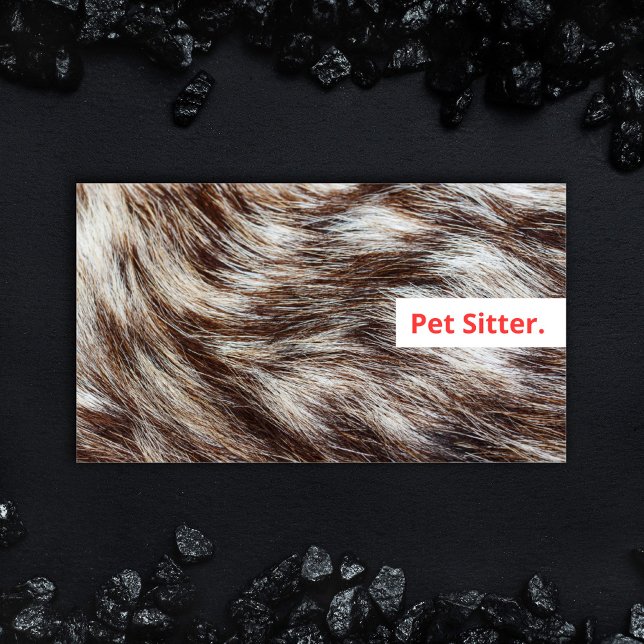 Modern Pet Sitter Business Cards Minimal Simple (Bold design Dog Walking and Pet Sitting Business card with fluffy fur and colorful modern type.)