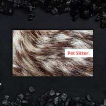 Modern Pet Sitter Dog Walker Grooming Veterinarian