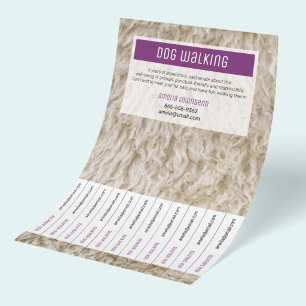 Modern Pet Sitting Flyers Business Advertising