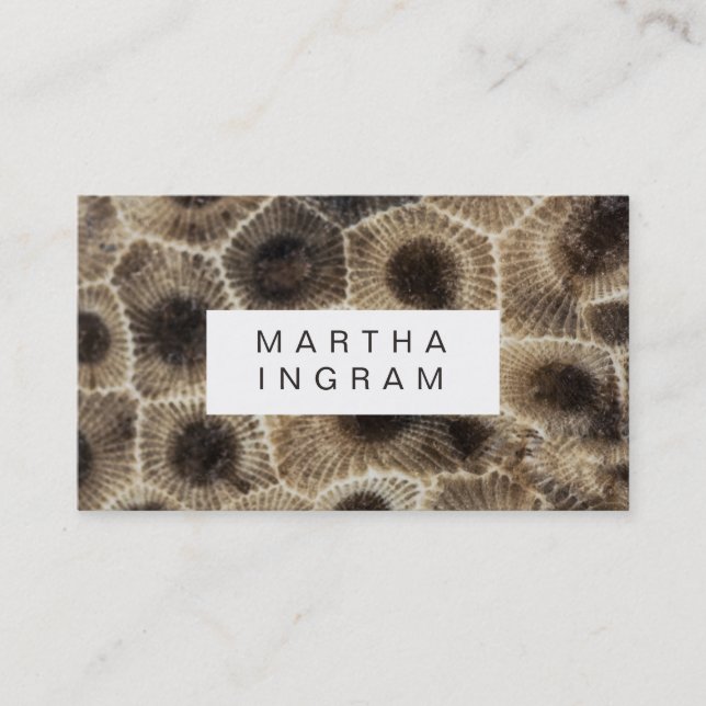 Modern Petoskey Stone Abstract Stone Design Business Card (Front)