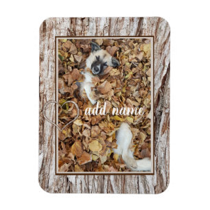 modern Photo collage dog pet funny Magnet