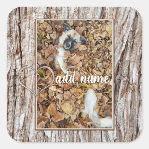 modern Photo collage dog pet funny Square Sticker