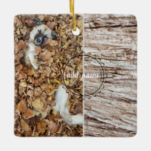 modern photo collage photo dog ceramic ornament