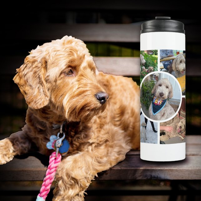 Modern Photo Collage Thermal Tumbler (Creator Uploaded)
