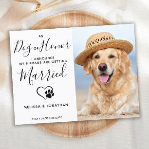 Modern Photo Dog Of Honour Pet Wedding Engagement  Announcement Postcard