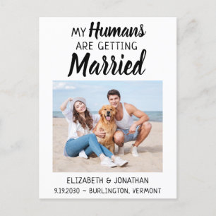 Modern Photo Dog Wedding Save The Date Announcement Postcard