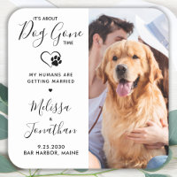 Modern Photo Funny Pet Wedding Dog Save The Date 