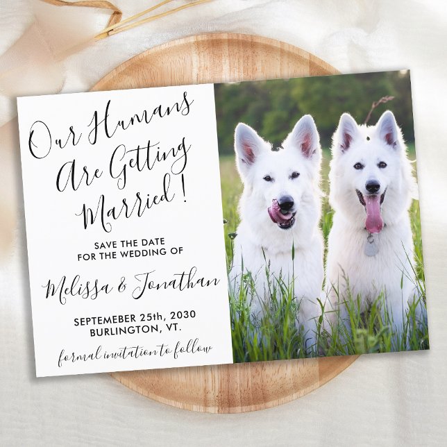 Modern Photo Personalised Dogs Photo Pet Wedding Save The Date (Creator Uploaded)