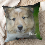Modern Photo Personalised Pets Family Dog Lover  Cushion<br><div class="desc">Introducing our modern and simple personalised pillow, perfect for showcasing your beloved pet in a unique way. With an option to add your pet’s name, this pillow is a great gift for family, friends, and even grandparents. The pillow features a high-quality photo of your furry friend, printed onto a soft...</div>