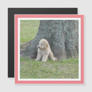 Modern Photo Template Cute Square Coral Magnet