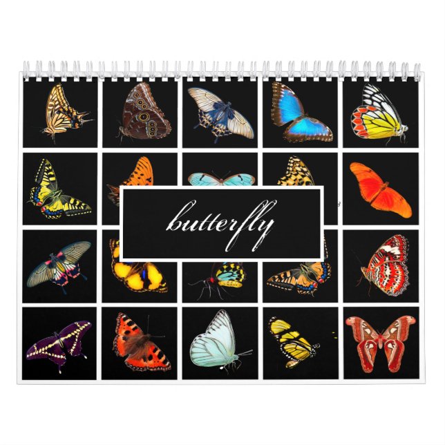 Modern Photography Butterfly Calendar (Cover)