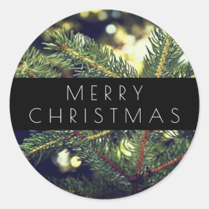 Modern Pine Tree Merry Christmas Typography Classic Round Sticker