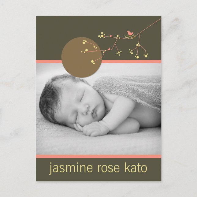 Modern Pink Nesting Bird Family Simple Photo Birth Announcement Postcard (Front)