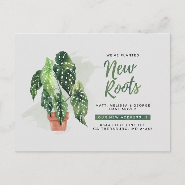 Modern Planted New Roots Moving New Address Announcement Postcard (Front)
