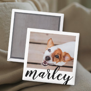 Modern Playful Simple Chic Pet Photo Magnet