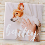 Modern Playful Simple Elegant Chic Pet Photo 15 Cm Square Badge<br><div class="desc">This simple and classic design is composed of serif typography and add a custom photo of your pet.</div>