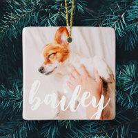 Modern Playful Simple Elegant Chic Pet Photo