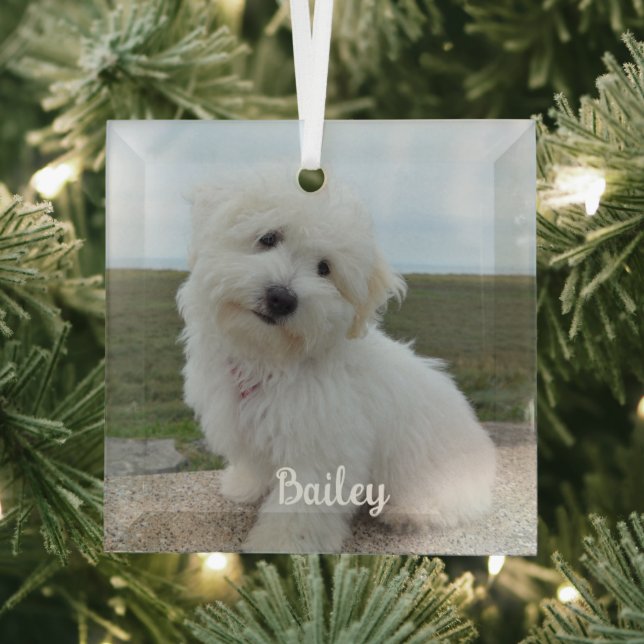 Modern Playful Simple Elegant Chic Pet Photo Glass Tree Decoration (Insitu)