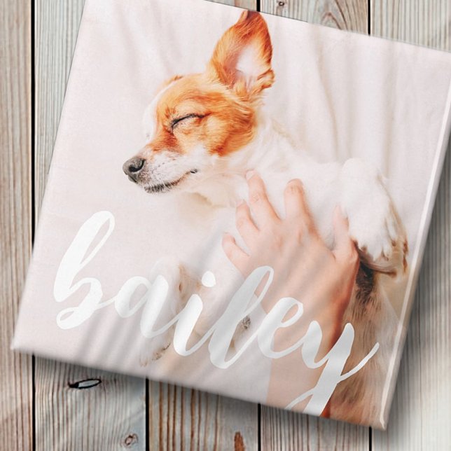 Modern Playful Simple Elegant Chic Pet Photo Magnet (Creator Uploaded)