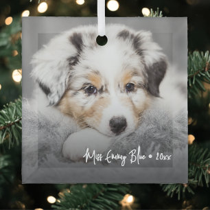 Modern Playful Simple Elegant Pet Photo Glass Tree Decoration