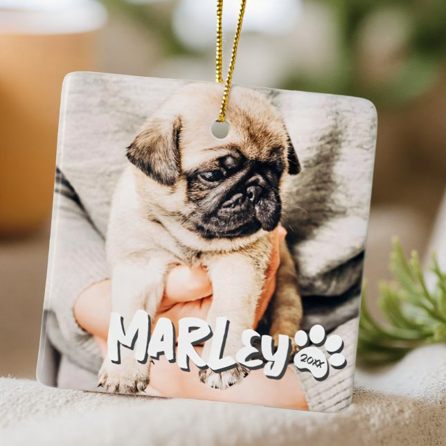 Modern Playful Simple Grunge Custom Pet Photo Ceramic Ornament (Creator Uploaded)