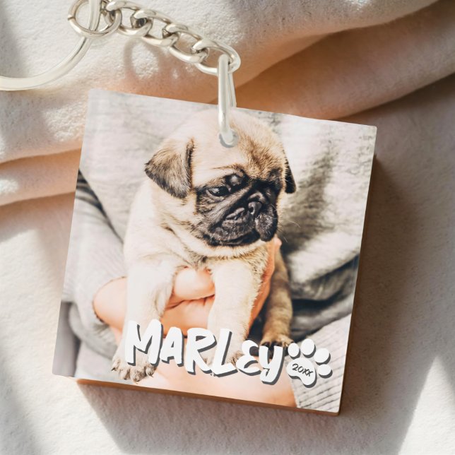 Modern Playful Simple Grunge Custom Pet Photo Key Ring (Creator Uploaded)