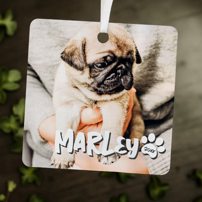 Modern Playful Simple Grunge Custom Pet Photo Metal Tree Decoration (Creator Uploaded)