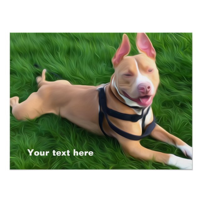 Modern poster with Pit bull dog on the green grass (Front)