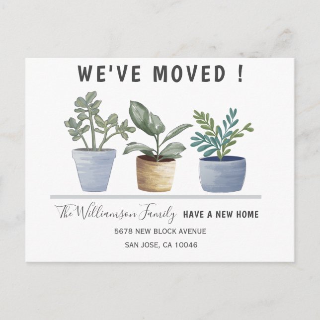 Modern Potted Plants We've Moved Announcement  Postcard (Front)