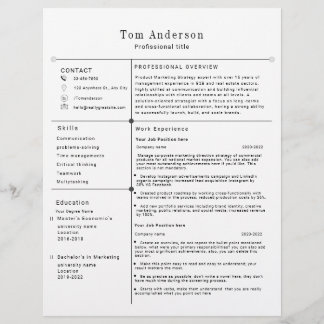 Modern Professional Resume Template