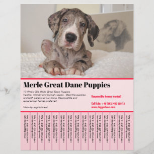 Modern Professional Service red Tear Off Contact Flyer