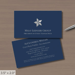 Modern Professional Silver Logo Business Card