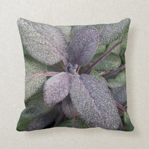 Modern Purple Sage Garden Herb Photo Cushion