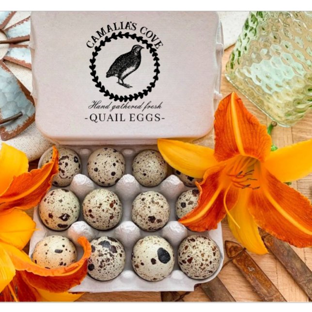 Modern Quail Eggs Custom Farm Owner Name Black Rubber Stamp (Modern custom Quail eggs egg stamp)