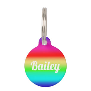 Modern Rainbow Classic Personalised Name Template Pet Tag