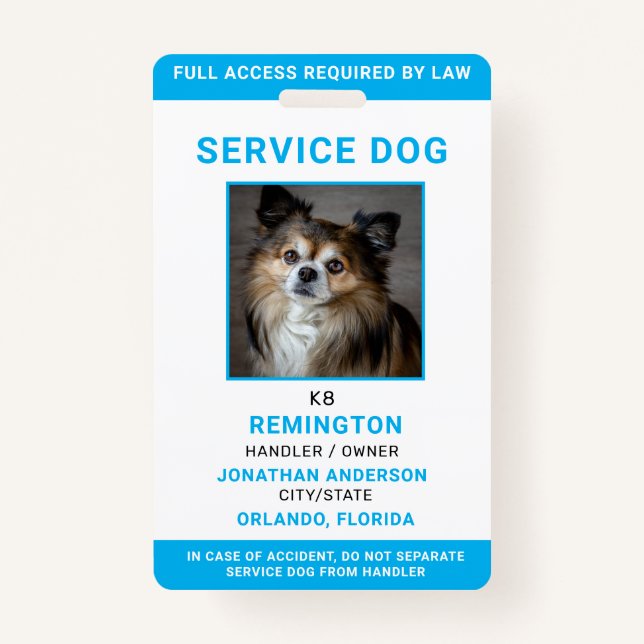 Modern Red Blue Simple Service Dog Photo ID Badge  (Front)