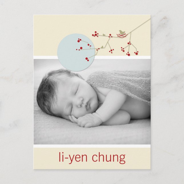 Modern Red Nesting Bird Family Simple Photo Birth Announcement Postcard (Front)