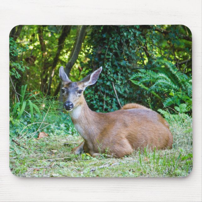 Modern Resting Deer Mousepad (Front)