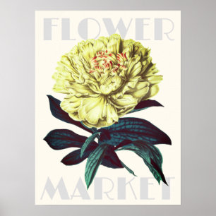 Modern Retro Flower Market Peony Poster