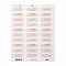 Modern rose gold save the date pink return address
