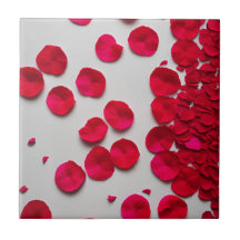 Modern Rose Petals