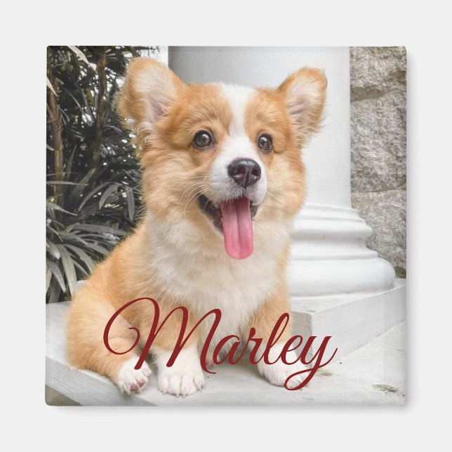 Modern Rustic Simple Custom Pet Photo Magnet (Front)