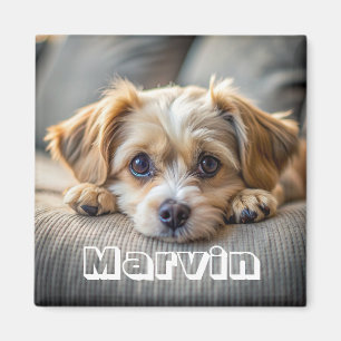 Modern Rustic Simple Custom Pet Photo Magnet