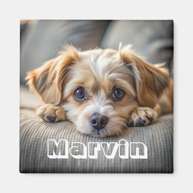 Modern Rustic Simple Custom Pet Photo Magnet (Front)