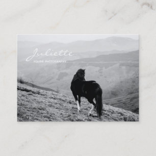 Modern Script Black White Horse Equine Photography Business Card