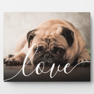 Modern Script Love Pet Photo Plaque